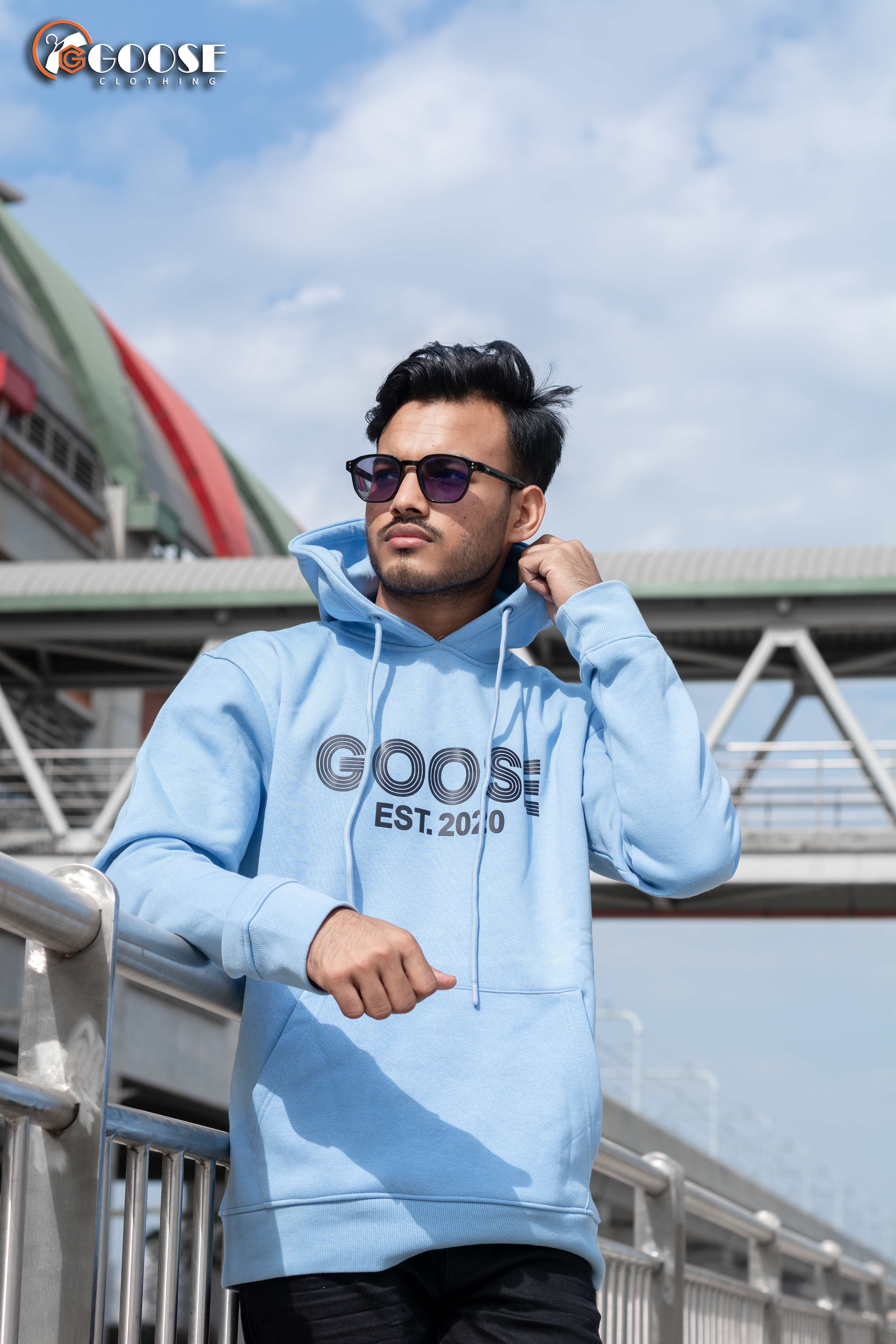 Goose Rubber Printed Hoodie